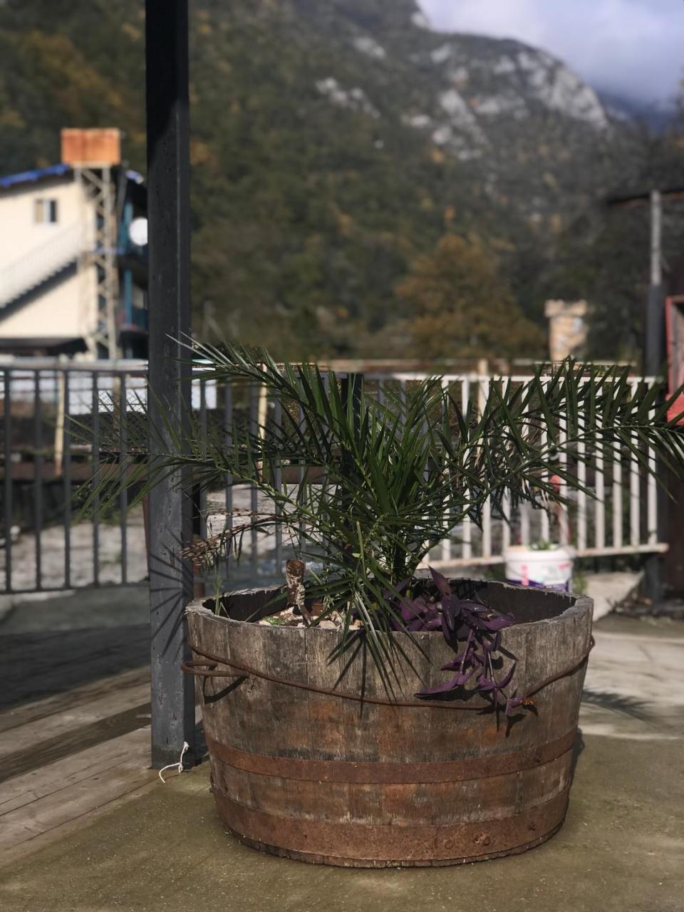 Барнаба Gagra Exteriér fotografie
