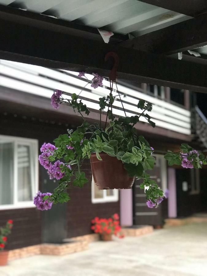Барнаба Gagra Exteriér fotografie